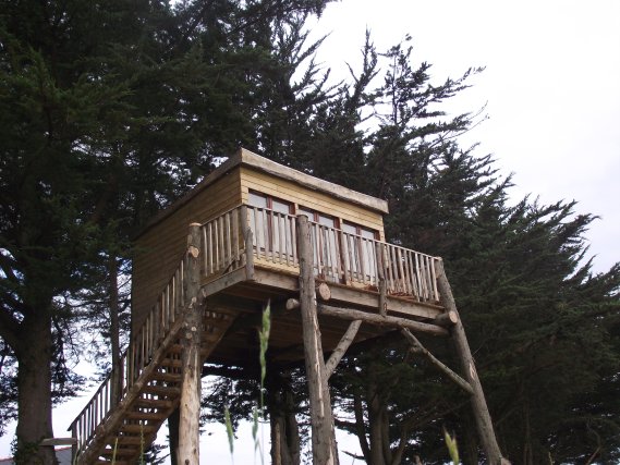 Cabane dans les arbres à Herbarius